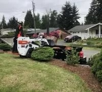 Local Kent emergency tree removal in WA near 98032