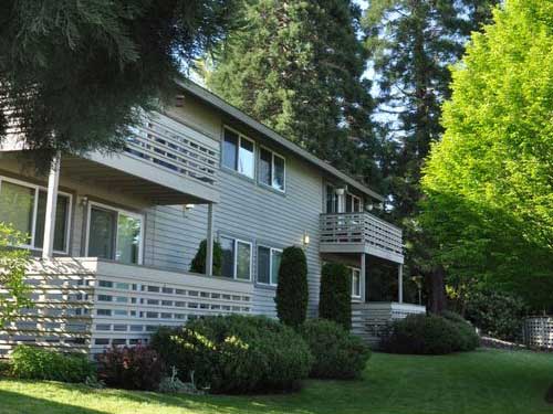Bellevue Landscaping