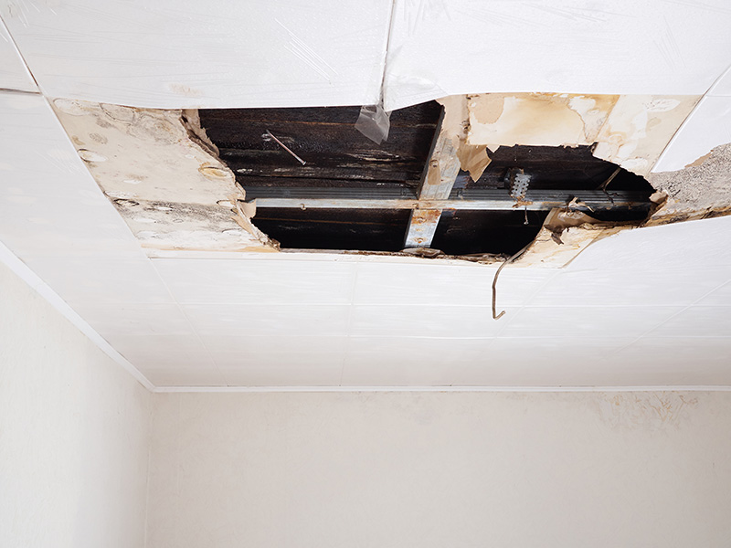Gig Harbor Drywall Repair