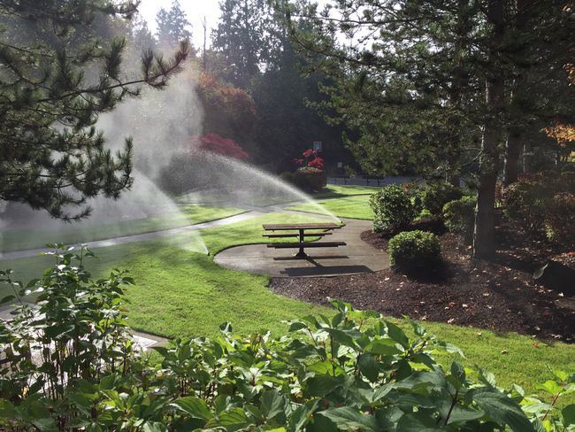 Bellevue Landscape Maintenance