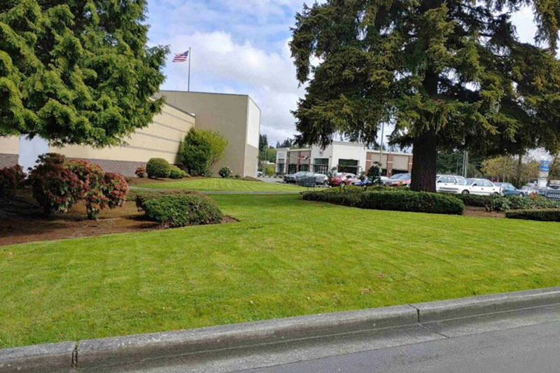Lawn Care Auburn