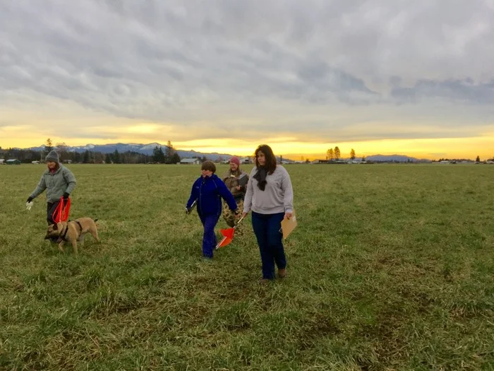 Scent Detection Training Programs Everett