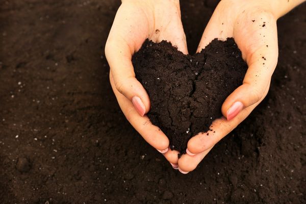 Soil Amendment Solutions Denver