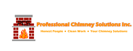 Professional Chimney Solutions